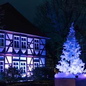 Lichterzauber 2025 (5)