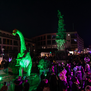 Light The Night 2025 (3)