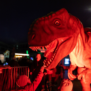 Light The Night 2025 (5)