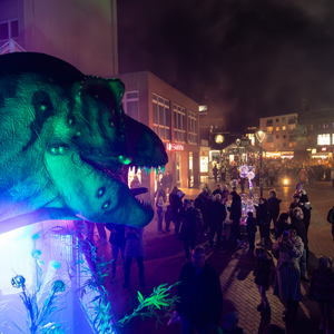 Light The Night 2025 (6)