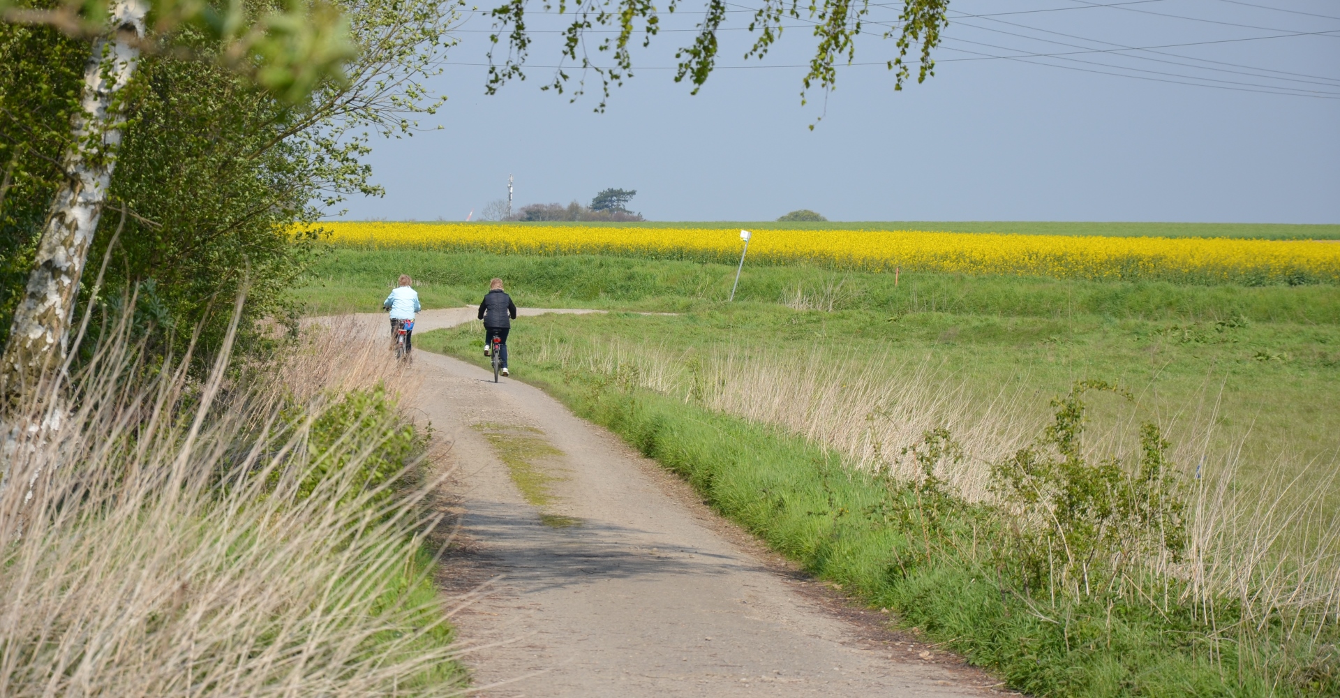 Fahrradfahren Salzgitter Feldmark